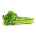 Avatar de Celery