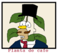 Avatar de PlantaDeCafe